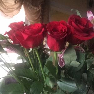 Meet your Posher, Edith